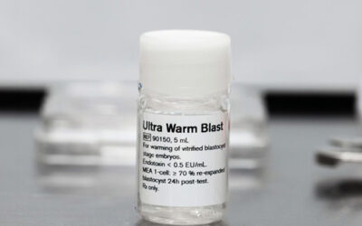 Ultraschnelles Auftauen von Blastozysten. Erkenntnisse und Neuigkeiten von Vitrolife