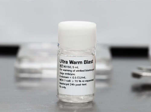 Ultraschnelles Auftauen von Blastozysten. Erkenntnisse und Neuigkeiten von Vitrolife